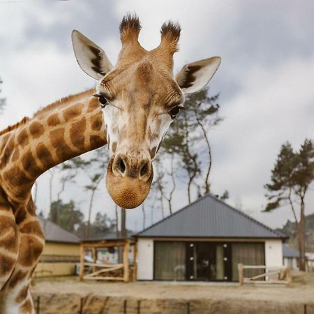 Safari Resort Beekse Bergen Hilvarenbeek Exterior foto