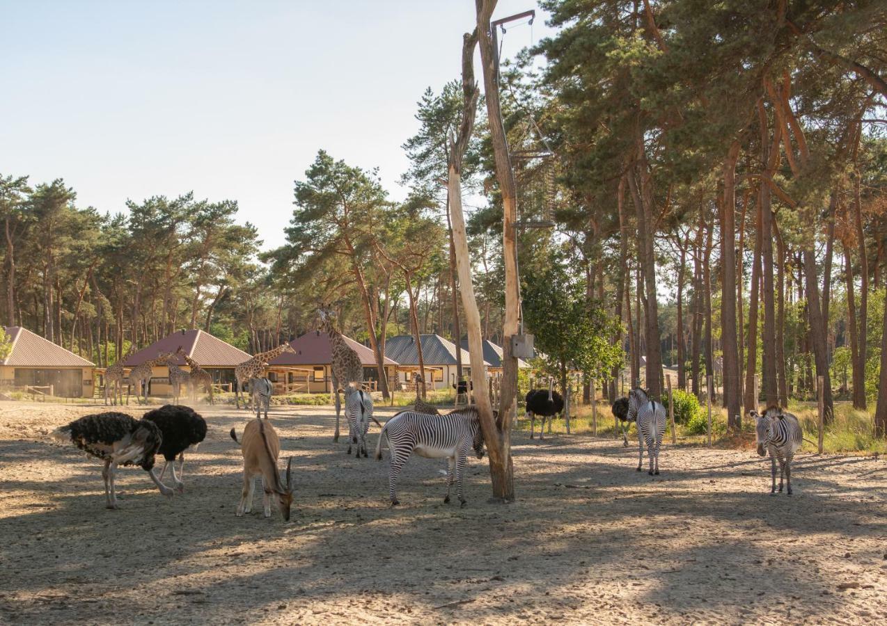 Safari Resort Beekse Bergen Hilvarenbeek Exterior foto